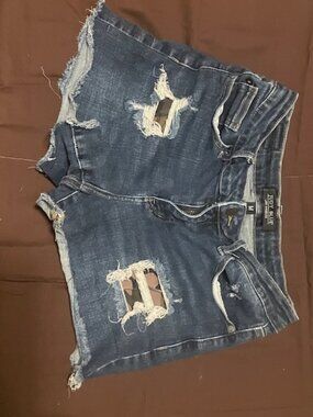 Judy Blue Cut Off Shorts